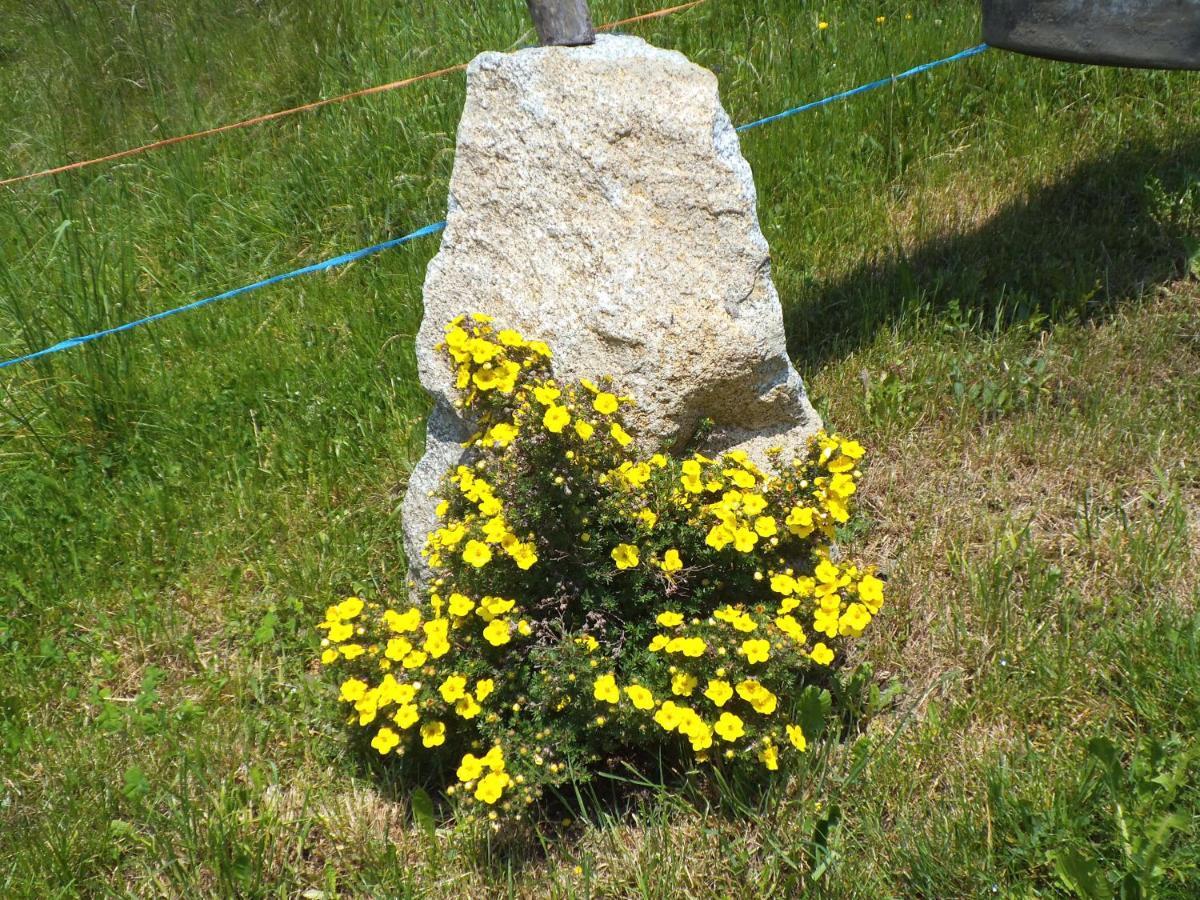 Steierhof Daire Feldthurns Dış mekan fotoğraf
